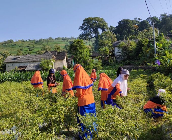 Dua Hari Mengabdi di Masyarakat "Jika Aku Menjadi"